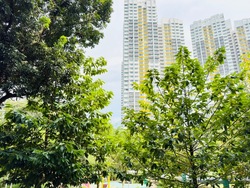 Blk 304 Clementi Avenue 4 (Clementi), HDB 3 Rooms #569643761